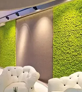 Wall Artificial Grass Installation Dubai