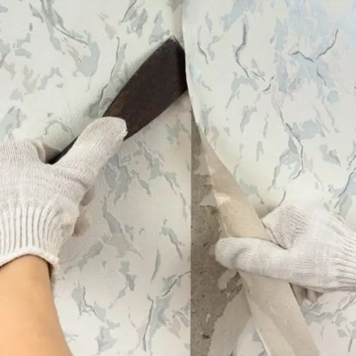 Person wearing gloves removing peeling wallpaper with a scrape