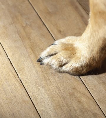 Pet Place Flooring