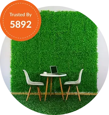 Wall Artificial grass Installation