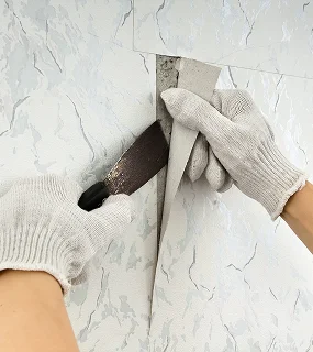 Wallpaper removal