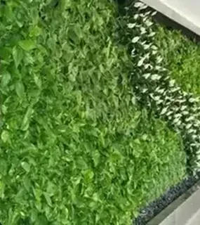 artificial grass wall design​