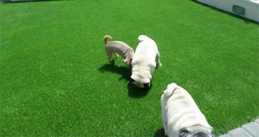 A Durability Test is a Must