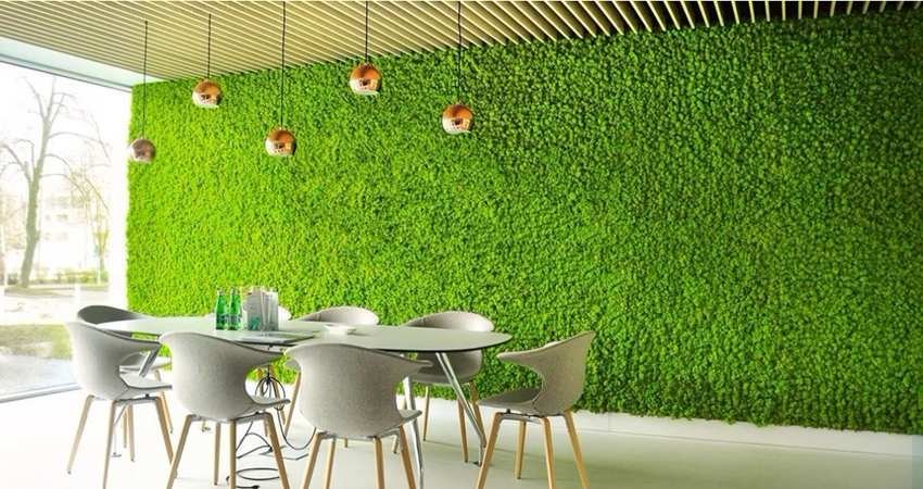 Artificial Grass on a Wall